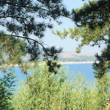 Sm Lovely On The First Line In